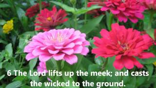 Scottish Metrical Psalms  Psalm 147 with wordsLyrics Sang Acapella [upl. by Idnil]