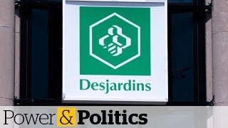 Desjardins data theft affected 42 million says credit union  Power amp Politics [upl. by Kelvin624]