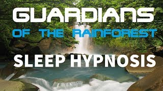 Guided Meditation for Deep Sleep quotGuardians of The Rainforestquot A Mind Hypnosis for Sleeping [upl. by Ennaeiluj]