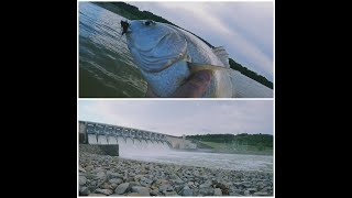 Eufaula dam 5324 and ODWC electroshocking striped bass [upl. by Ttirrem348]