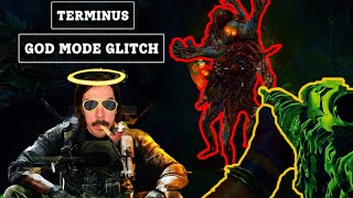 Black Ops 6 Zombies GOD MODE Glitch  Terminus Invincibility Glitch Patched [upl. by Demakis]