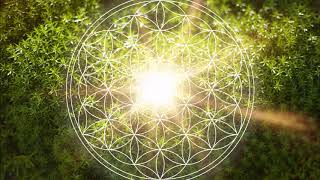 528 Hz Heart Chakra Regeneration  Repair amp Heal The Heart Chakra  Open amp Balance ANAHATA Chakra [upl. by Aldarcie910]