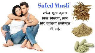 सफेद मूसली  SAFED MUSLI  chlorophytum [upl. by Aivon533]