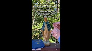 Praying the Rosary [upl. by Arny]