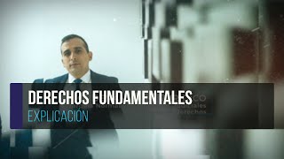 Derechos Fundamentales  Explicación [upl. by Tolmann]