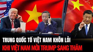 Trung Quốc Tố Việt Nam Khôn Lỏi Khi Việt Nam Mời Trump Sang Thăm  Hiểu Rõ Hơn [upl. by Anaihs686]