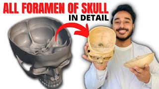 all foramen of skull anatomy  skull foramen anatomy  skull foramina anatomy [upl. by Icyac]