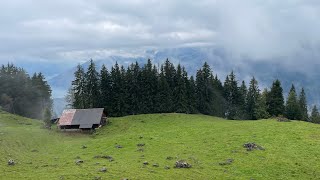 Niederhorn l Beatenburg l Beatenbucht l Switzerland [upl. by Yrome]