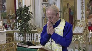 St George Homily 11102024 [upl. by Vincents]