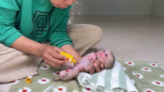 Mom Apply Betadine To Clean C0rd For Poor Baby Monkey After Bath [upl. by Millda]