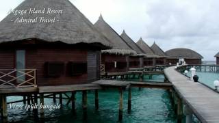 Angaga Island Resort [upl. by Carlye]