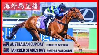 【海外馬直播】Australian Cup 澳洲盃 Flemington Racecourse 費明頓馬場 Tancred Stakes 鄧格錦標 Rosehill 玫瑰崗 Australia 澳洲 [upl. by Aneeg]