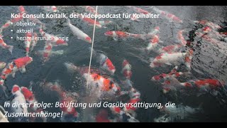 Koi Consult Koitalk 361 Belüftung und Gesamtgassättigung Zusammenhänge [upl. by Eintruoc959]