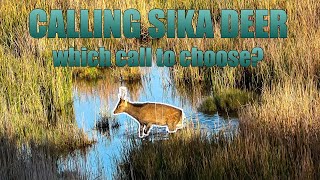 CALLING SIKA DEER Which call to choose [upl. by Whitby]