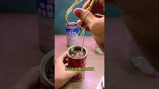 Plant portulaca in can so beautiful shortvideo portulaca floweringplant gardenflower bonsai [upl. by Adlitam]