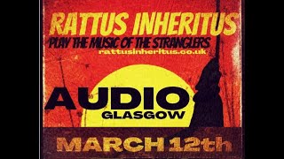 Rattus Inheritus play the music of The Stranglers  London Lady [upl. by Cutlor289]