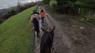 A Bridleway the takes you right through someones yard would you ride here bridleway horse [upl. by Torrence]