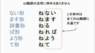 14 日本語教師が知らなかった動詞活用の教え方 G2動詞全般 [upl. by Teferi821]