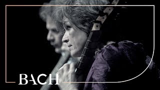 Bach  Brandenburg Concerto no 6 in Bflat major BWV 1051  Sato  Netherlands Bach Society [upl. by Flieger]