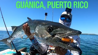 Pescando en Guanica  Puerto Rico  Pargo grandote  Barracuda grande  Jurel grande [upl. by Herve197]