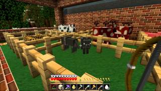 Soartex Fanver Texture Pack Review Minecraft 131 [upl. by Greenes]