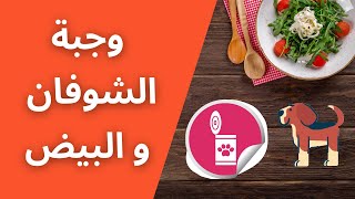 تأكل جروك ايه؟ احلى وجبة شوفان وبيض للجراوي هتخليهم دبه وصحتهم ممتازة [upl. by Nhguaval]