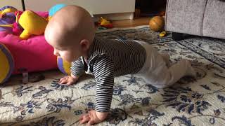 5 Month Old Baby Crawling [upl. by Ahscrop]