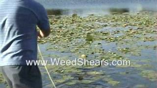 POND WEED CUTTER for removing MILFOIL HYDRILLA CATTAIL LILY PADS [upl. by Adnilram]