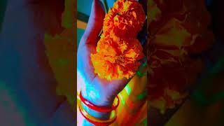 Mohabbat Barsa dena🌼🌼🌼🌼🌼🌼🌼🌼shoryvideoshort video [upl. by Oringas990]