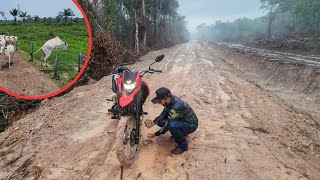 PEGAMOS MUITA CHUVA E ATOLAMOS NO NOSSO ATERRO FOI O JEITO RANCAR TUDO [upl. by Drannel]