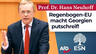 RegenbogenEU macht Georgien putschreif  Prof Dr Hans Neuhoff AfD [upl. by Olympium]