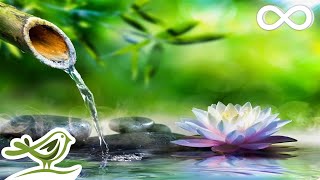 Soothing Relaxation Relaxing Piano Music amp Water Sounds for Sleep Meditation Spa amp Yoga [upl. by Ynnavoig]