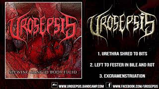 Urosepsis  Spewing Rancid Body Fluid FULL EP 2016 [upl. by Airekal738]