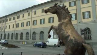 Museo Storico dellArma di Cavalleria di Pinerolo [upl. by Amand]