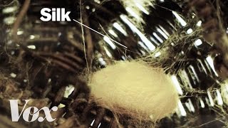 How silkworms make silk [upl. by Iams]