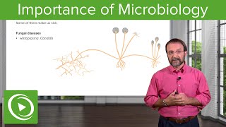 Importance of Microbes Bacterial Diseases – Microbiology  Lecturio [upl. by Rem584]