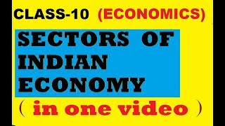 SECTORS OF INDIAN ECONOMYCLASS 10 ECONOMICSIN HINDI [upl. by Minsk]