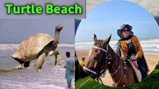 Turtle beach karachi  turtle beach 2024  manora beach karachi  karachi samandar [upl. by Bernj715]