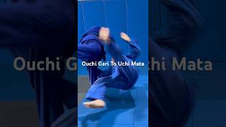 Ouchi Gari To Uchi Mata [upl. by Mohn958]