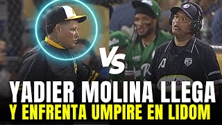 Yadier Molina Enfrenta al Umpire y Sucede Algo Increíble Con Aguilas Cibaeñas [upl. by Steiner]