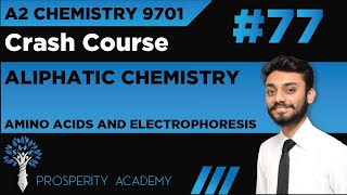 Amino Acids and Electrophoresis  Aliphatic Chemistry  9701 A2 Chemistry UrduHindi [upl. by Aiek]