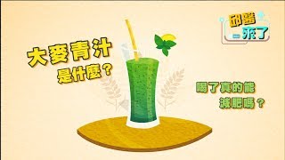 【邱醫來了】大麥青汁是什麼？喝了真的能減肥嗎？ [upl. by Alel]