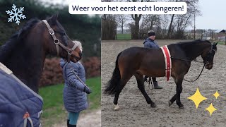 Het is KOUD en weer LONGEREN Ponygeluk VLOG51 [upl. by Ydaj]