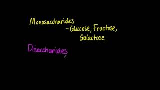 323 List three examples each of monosaccharides disaccharides and polysaccharides [upl. by Llahsram]