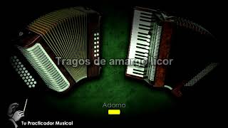 TRAGOS AMARGOS  pistas norteñas sin ACORDEON para practicar [upl. by Zephan]