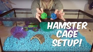 HOW TO SET UP A HAMSTER CAGE [upl. by Hairahcaz]