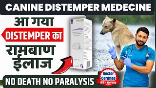 Canine Distemper Treatment At Home In Dogs  Symptoms  Recovery  Dog Distemper Treatment In Hindi [upl. by Westlund21]