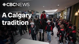 Why Calgarians ride a horse through a hotel lobby for the Grey Cup [upl. by Hsetim]