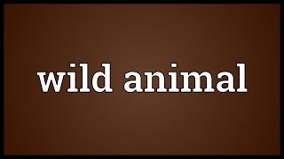 Wild animal Meaning [upl. by Banebrudge]