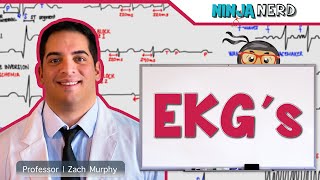 Cardiovascular  EKGs [upl. by Idnod212]